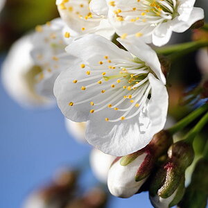 2012 04 01 16 51 05 D30 5049 copy