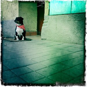 HipIMG 0356