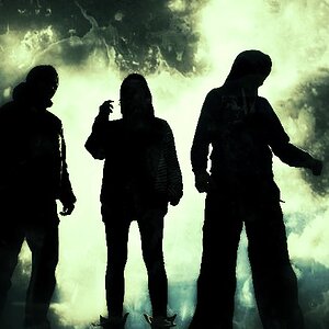 Shadows
