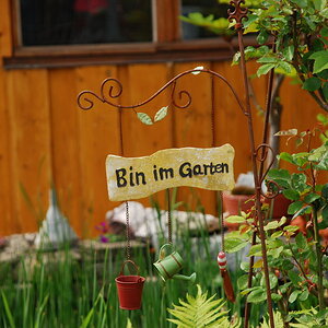 DSC 2125 Bildgröße ändern