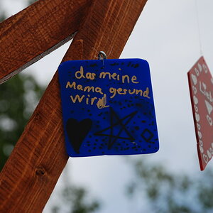 DSC 2115 Bildgröße ändern