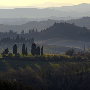 Crete Senesi 049