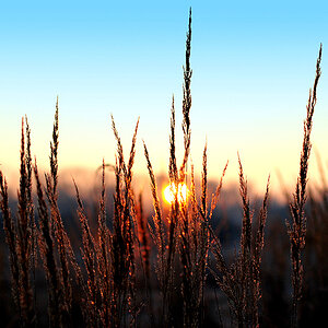 Morgensonne
