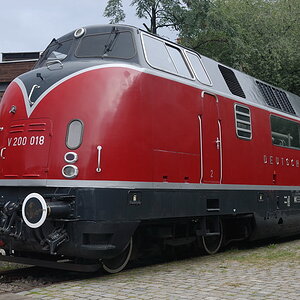 DSC 8018