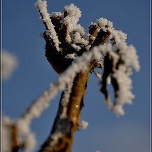 frost00001