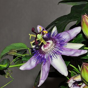 DSC 4665