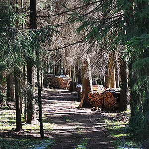 Der Holzweg