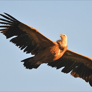 aacomp Extremadura 20120421 1659
