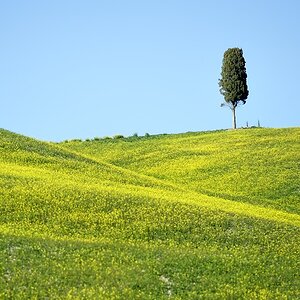 2012032817315342