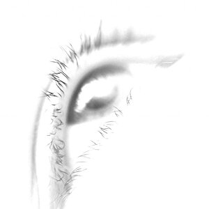 Auge