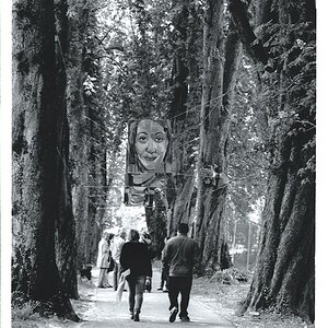 Scan.3.1..