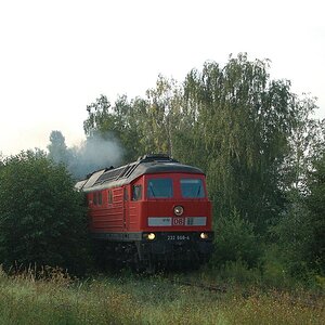 232 668 4   LMSW LWM   16.08.2005