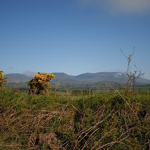Irland DSC 2163
