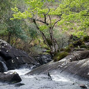 Irland DSC 9851