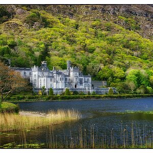 Irland DSC 0350