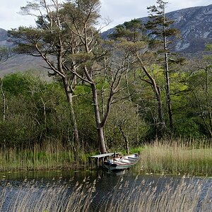 Irland DSC 0347