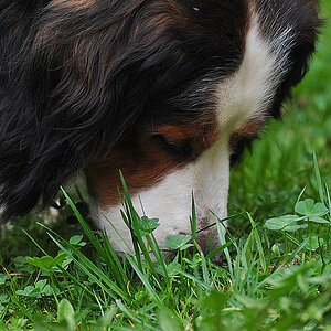 Riecht lecker