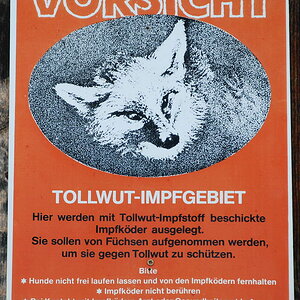 DSC 1372 b Bildgröße ändern