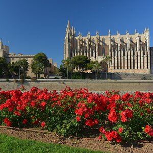 c10 DSC 3674