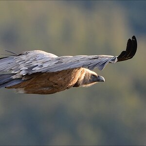 aacomp Extremadura 20120421 1284