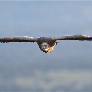 aacomp Extremadura 20120421 1332