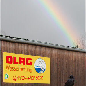 Regenbogenrettungsvogel