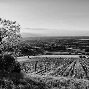 Tullnerfeld bei Tulln an der Donau
Nikon D800, Nikkor 16-35/4