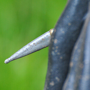 Scabbard