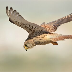 aacomp Extremadura 20120423 5324