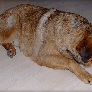 DSCF0723 Kopie comp