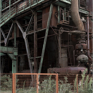 rost8