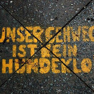 Reinheitsgebot