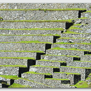 jo137