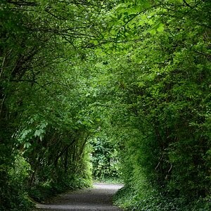 Irland DSC 9994
