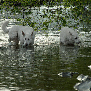wasserspiele