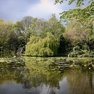 Irland DSC 0428