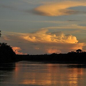 Rupununi River
6201