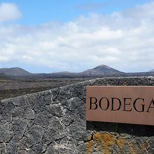 Bodega Stratvs
