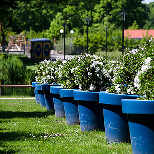Schloßpark Natur 2012 05 20 1
