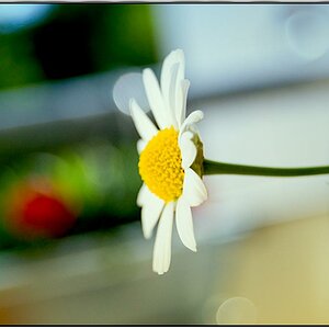 dsc 0025