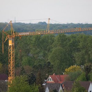 Nikon AF-S 300/4
D2x