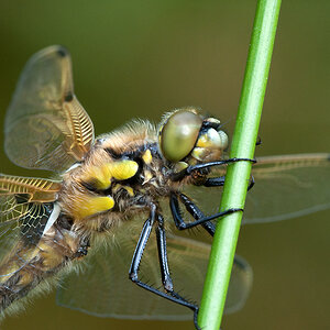 2012 05 19 am Morgen 004