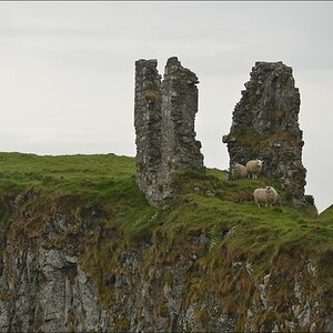 comp Antrim 0702