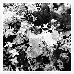16. Mai 2012, Kalte Sophie, iPhone 4s, Instagram