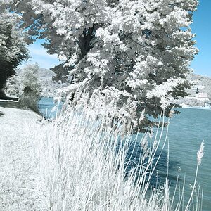 DSC 5906 An der Donau2