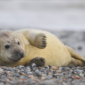 aacomp Helgoland 20120101 8779