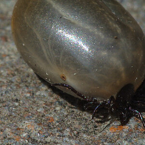 20120610 DSC 0020