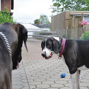Treffen 2