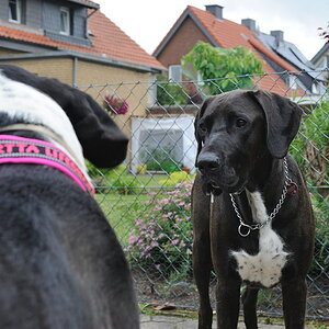 Treffen 3