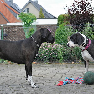 Treffen 4